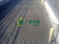 污泥發黑是什么原因造成?污泥發黑經驗分享