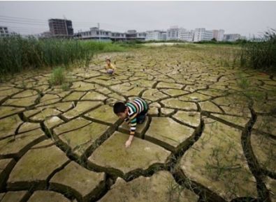 【世界土壤日】《土壤污染防治法》有哪些亮點?