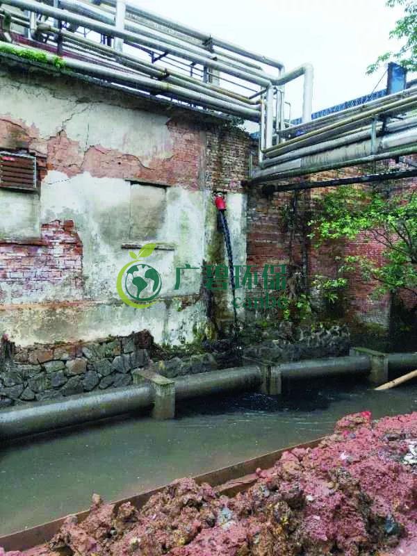 廣州海珠有污水直排河涌，3名涉案人員被行政拘留(圖1)