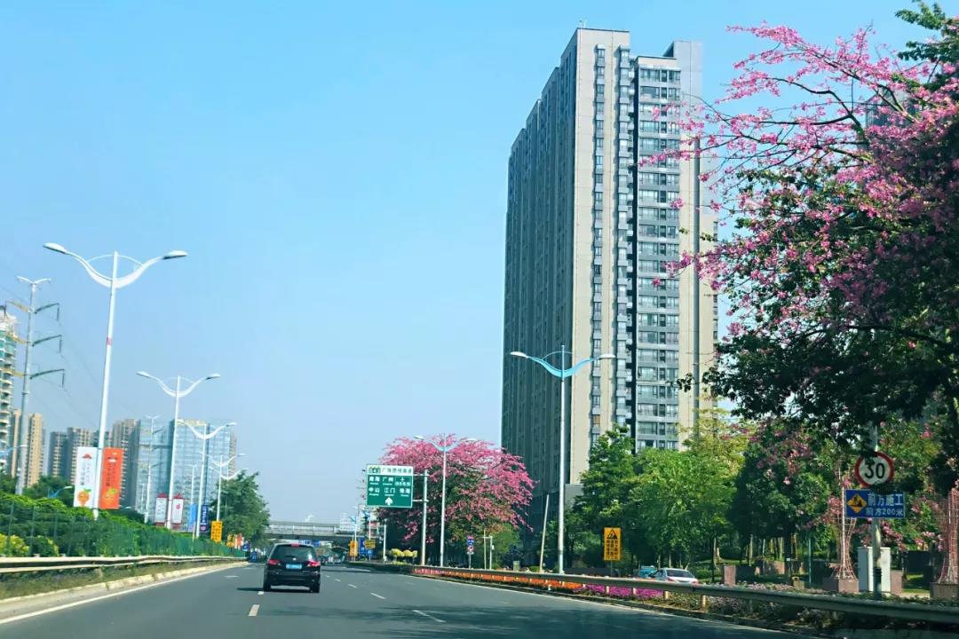 環(huán)境部印發(fā)《規(guī)劃環(huán)評技術導則 總綱》，項目環(huán)評部分章節(jié)可簡化