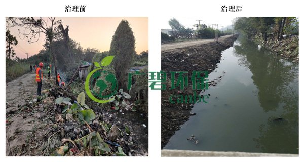 廣碧環保金陡涌河涌黑臭水體 治理服務項目順利通過驗收(圖2) 廣碧環保金陡涌河涌黑臭水體 治理服務項目順利通過驗收(圖2)