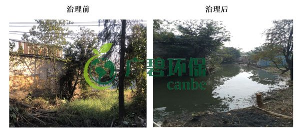 廣碧環保金陡涌河涌黑臭水體 治理服務項目順利通過驗收(圖5) 廣碧環保金陡涌河涌黑臭水體 治理服務項目順利通過驗收(圖5)