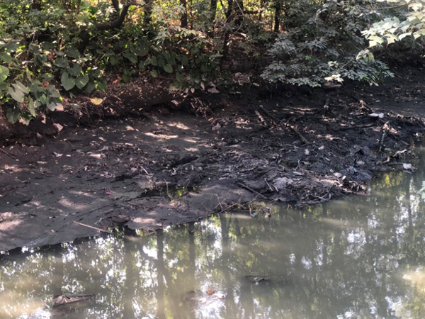 總結河道治理誤區(qū)，道明今后治理方向