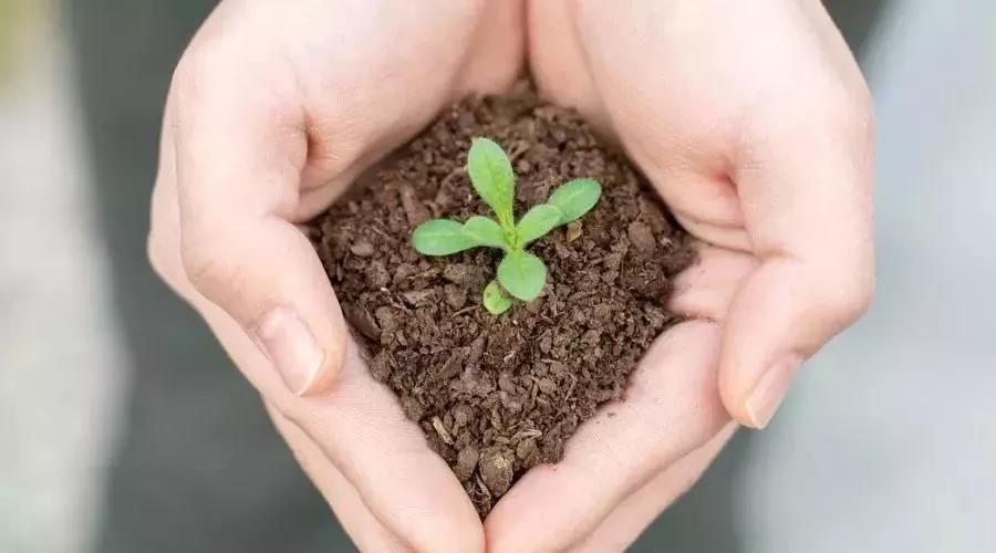 關(guān)于土壤污染修復(fù)，你了解多少？(圖1)