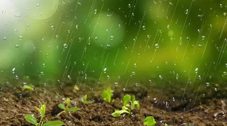 關(guān)于土壤污染修復(fù)，你了解多少？(圖2)