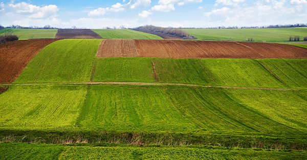 土壤侵蝕是什么?什么導致了土壤侵蝕?(圖1) 土壤侵蝕是什么?什么導致了土壤侵蝕?(圖1)