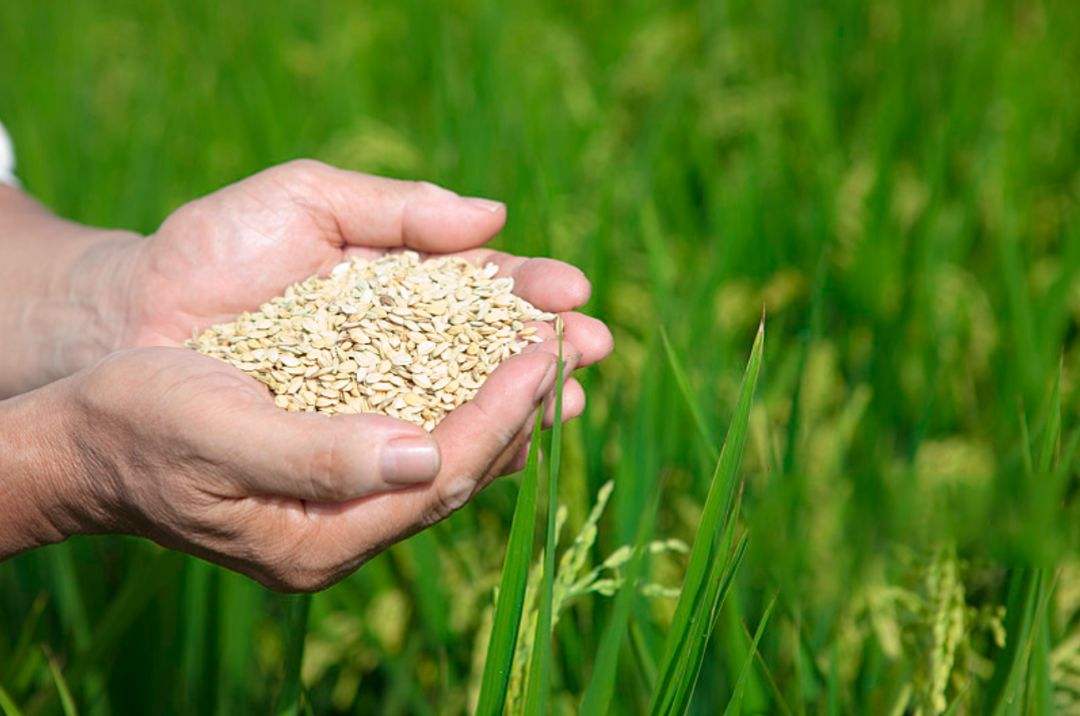 土壤修復(fù)市場(chǎng)，該火了！(圖3)