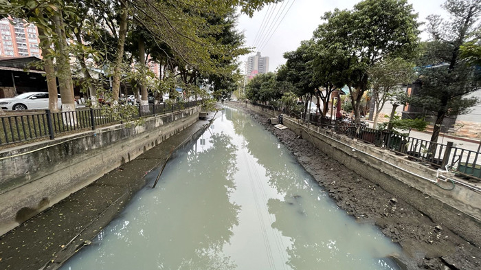 順德大良石洛涌、八坊涌整治見成效(圖3)